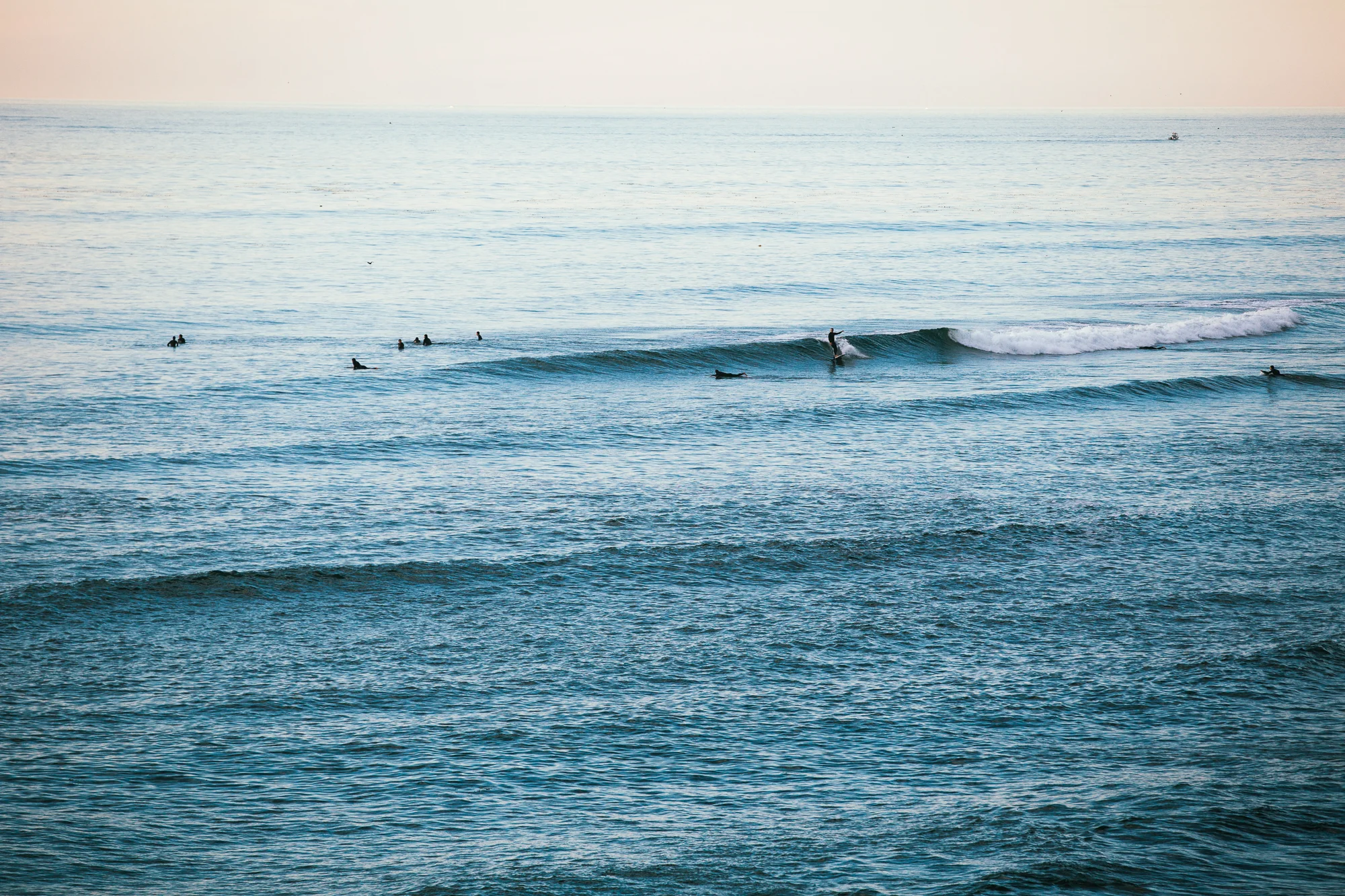 surf-4.jpg