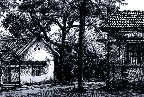 Landscape2.jpg