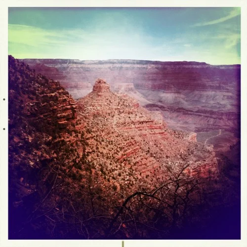 pineapple is my life