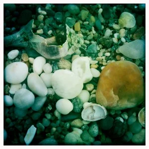 long island is my life