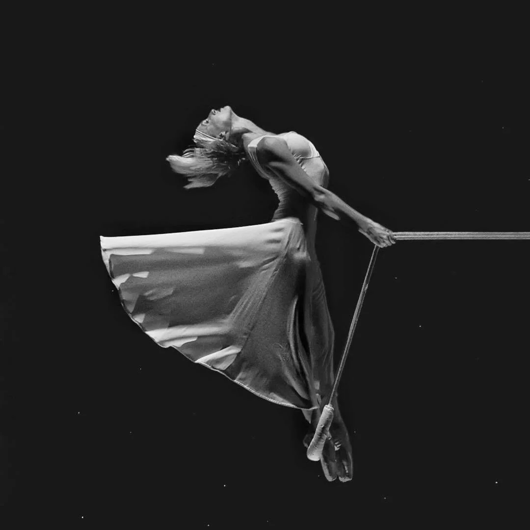 Viva Momix // Santa Rosa, CA, Ruth Finley Person Theatre