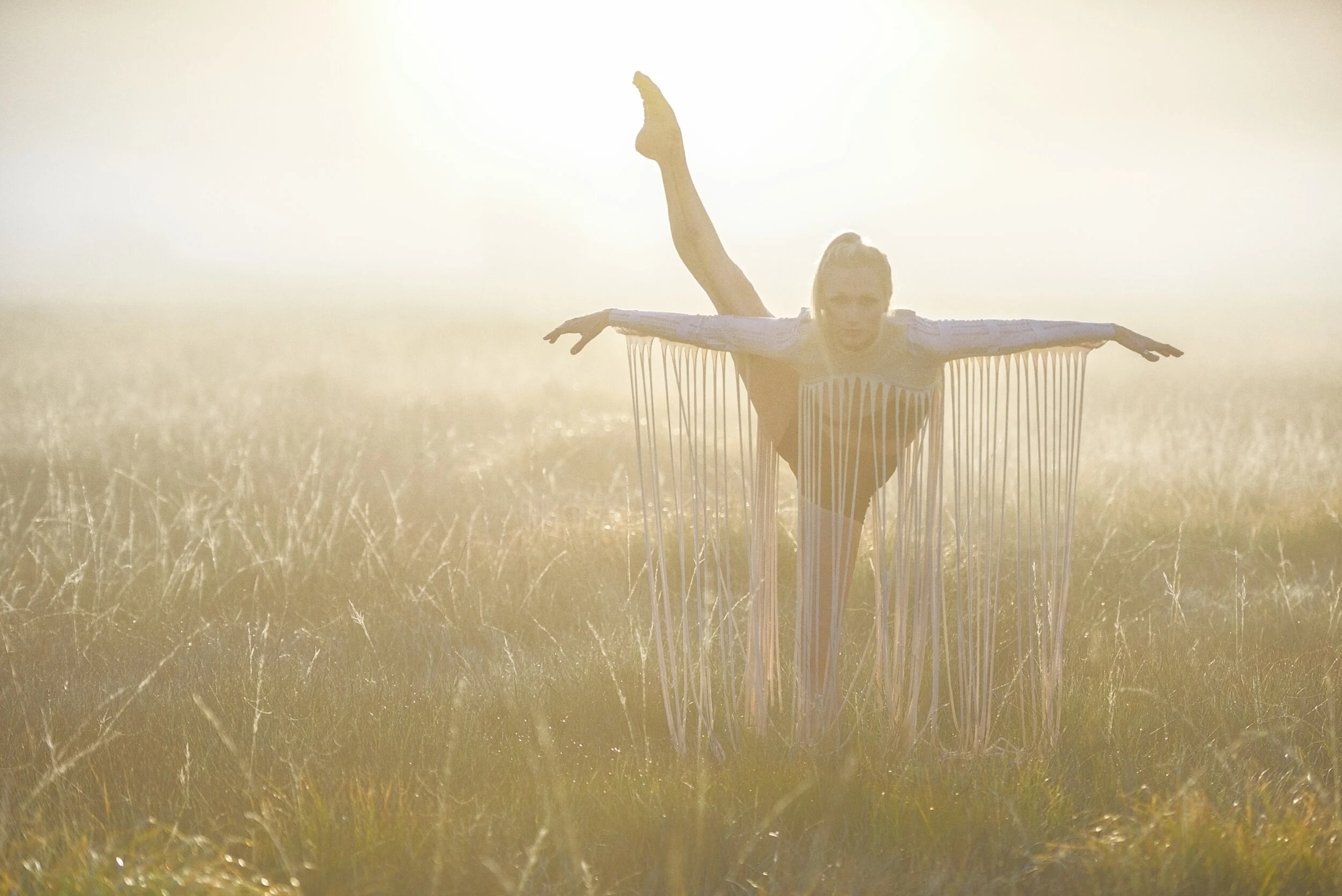 Healthy Dancer Mentorship