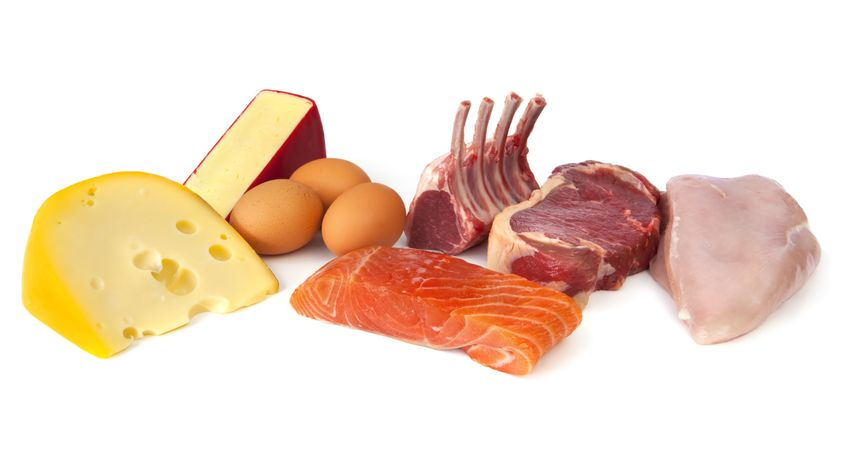 High protein foods, steak, chicken, eggs, cheese, lamb chops - Ultimate Health Personal Trainin Center - Holywood, CA