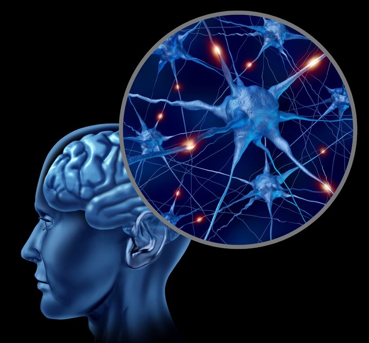 Photo of Brain and neurons - Ultimate Health Personal Training Center - Los Angeles