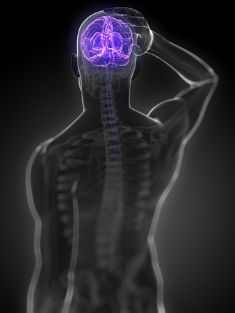 Man brain lit up - Ultimate Health Personal Training Center - Los Angeles, CA