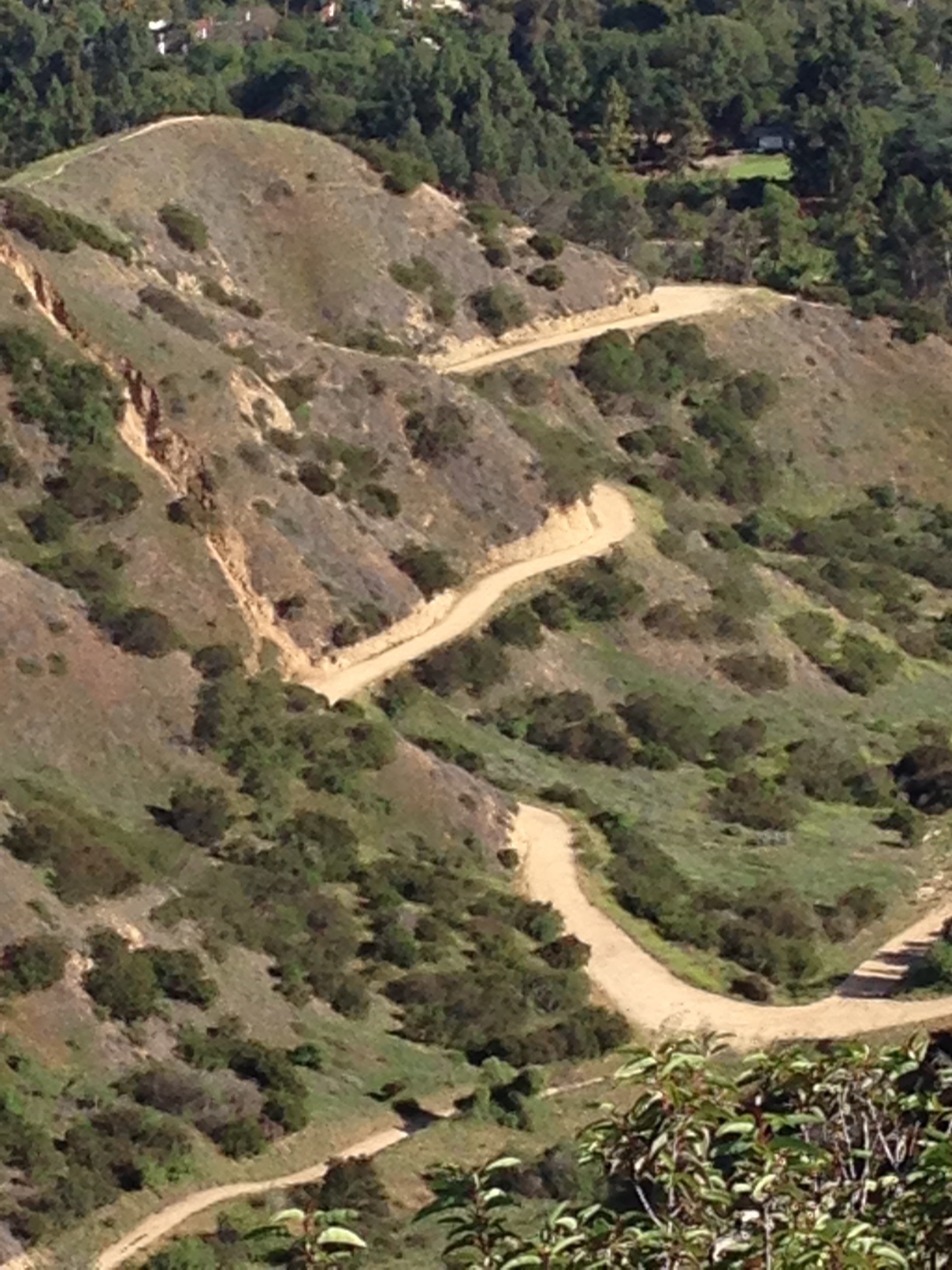 Running Trail Griffith Park - Ultimate Health - Personal Trainer Studio City