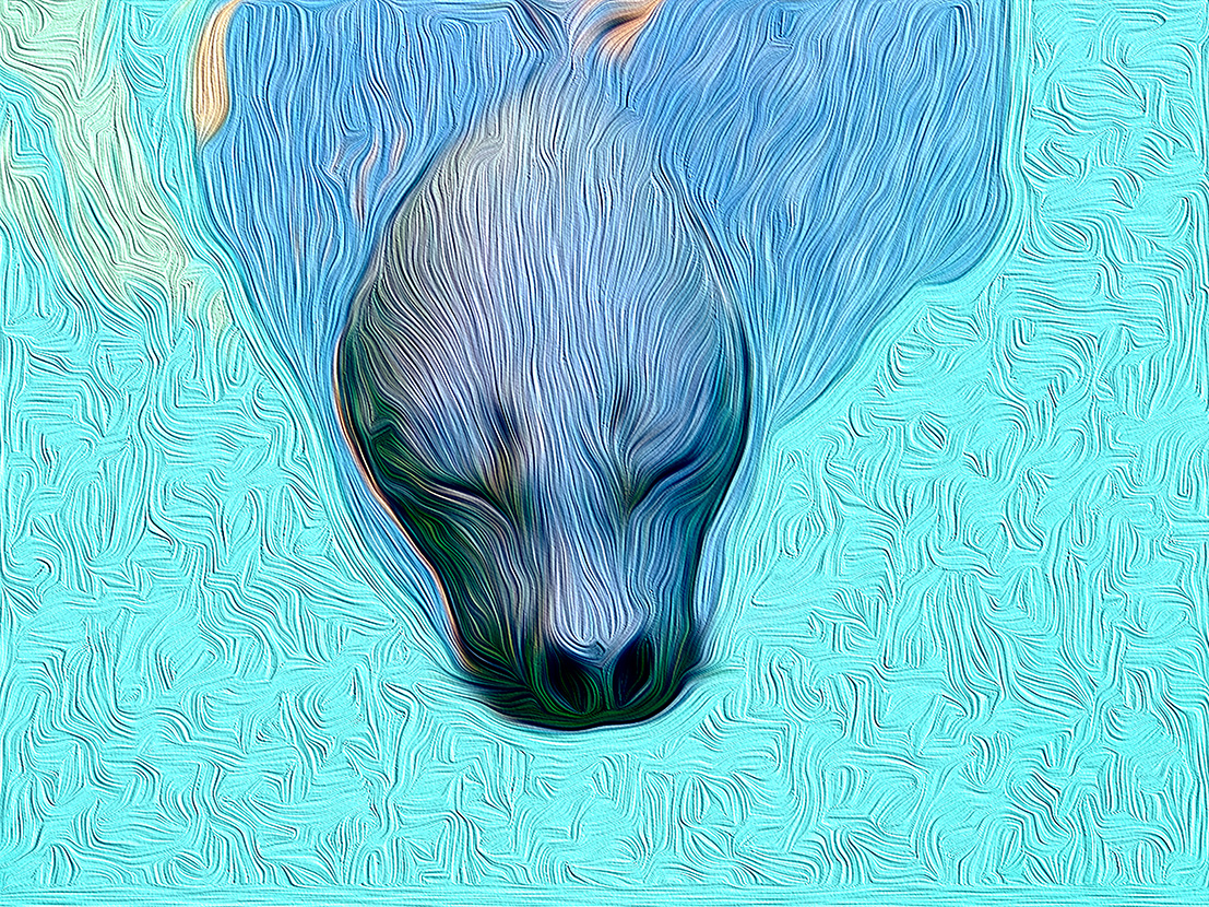 CALM.jpg