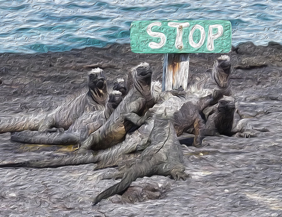STOP.jpg