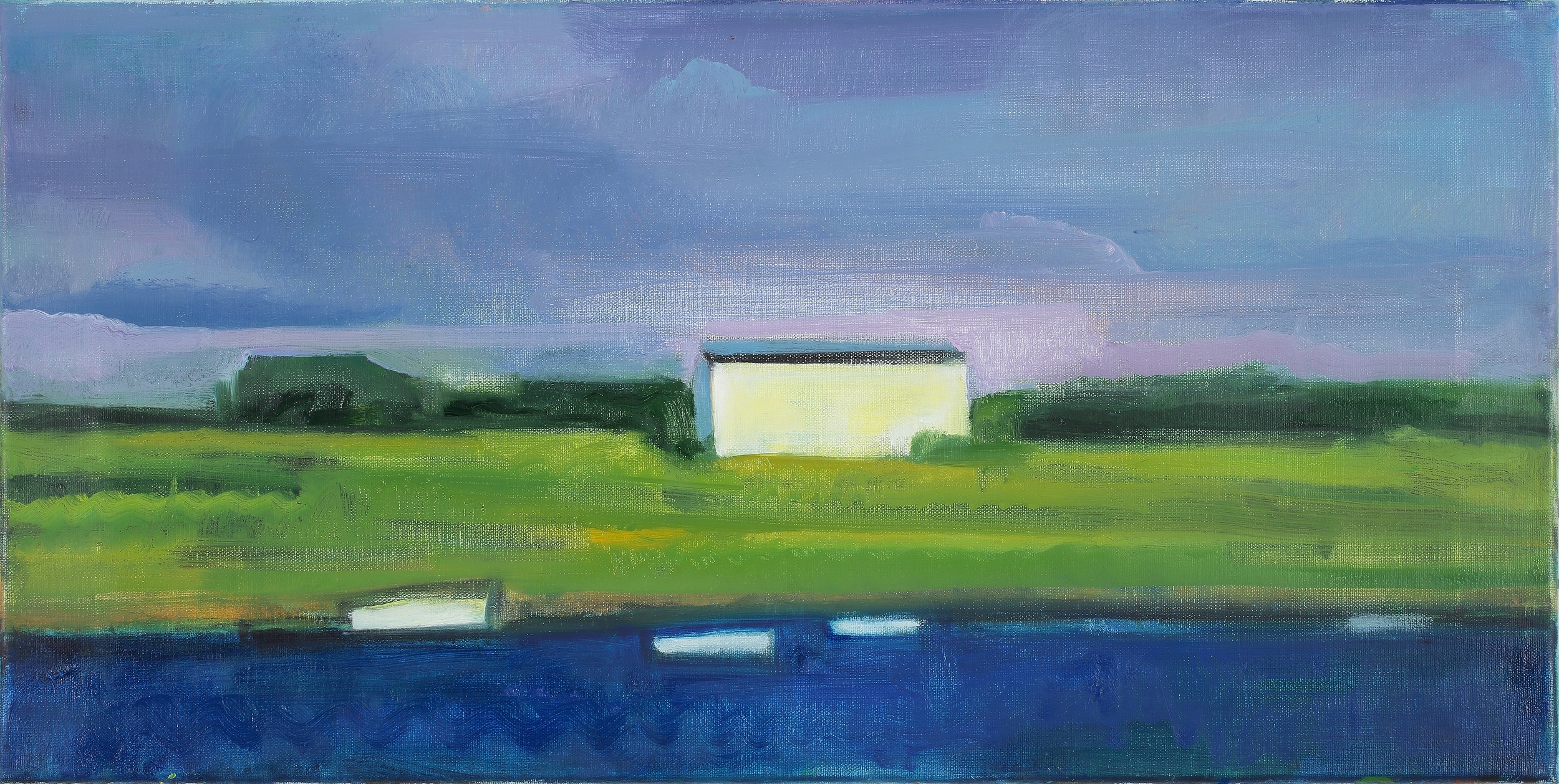 Elizabeth Higgins %22Carpe Diem # 2%22 2015 o:linen 20 x 10 inches.jpg
