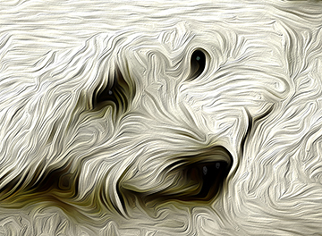 Gerstein_Arthur-08Shnout.jpg