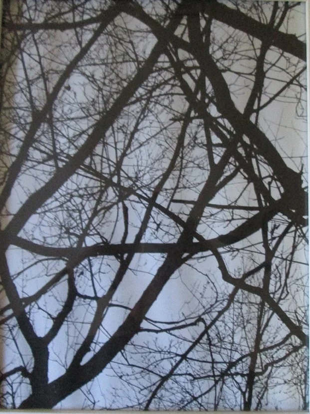 Alice Katz, Winter Delight 1.JPG