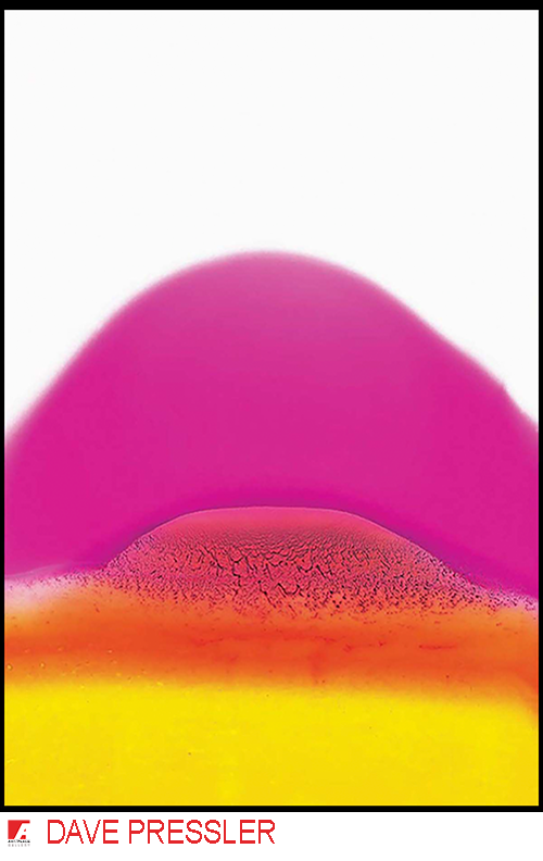 foward_DAVE PRESSLER.png