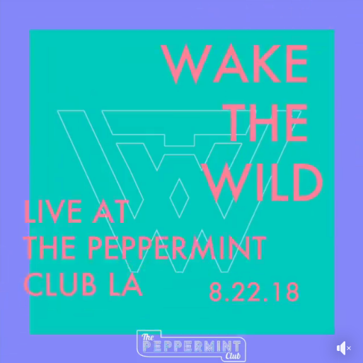 Los Angeles, CA - w/ WTW at the Peppermint Club