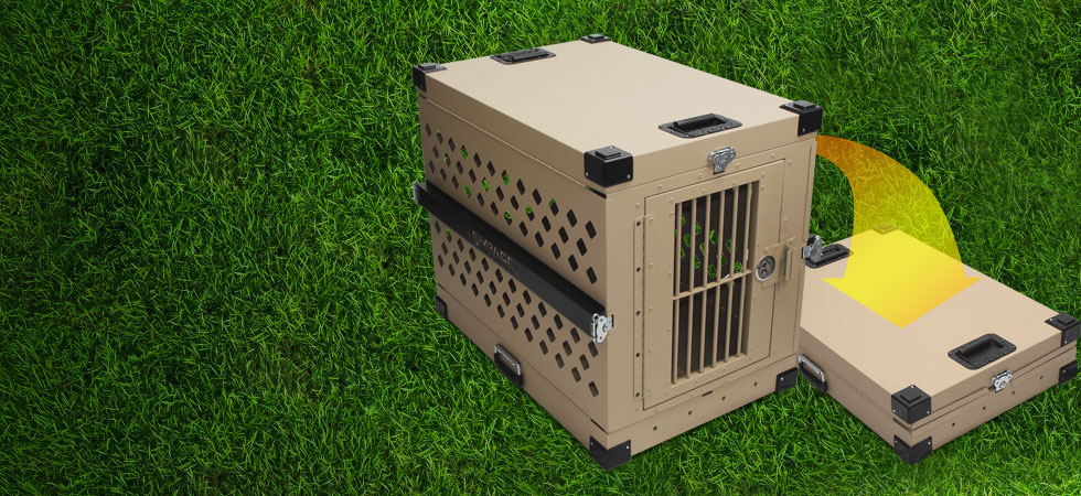 impact case collapsible dog crate