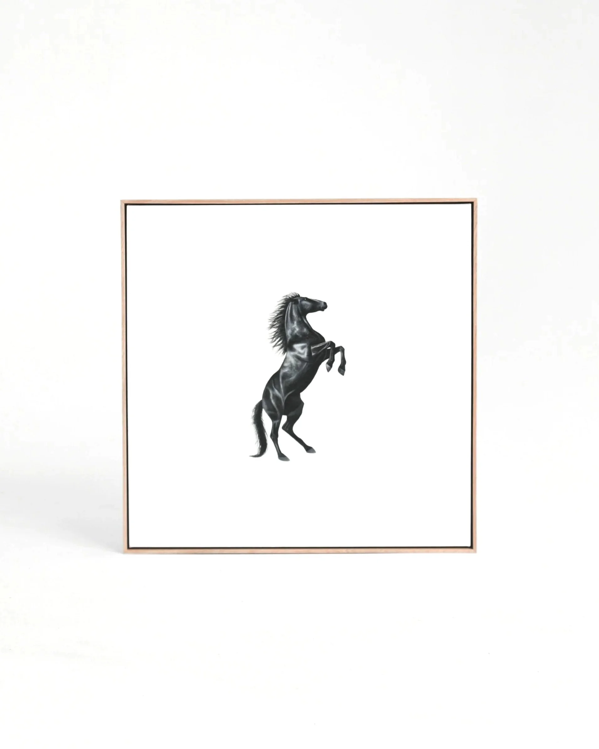 Harry - 2025 - 76 x 76cm