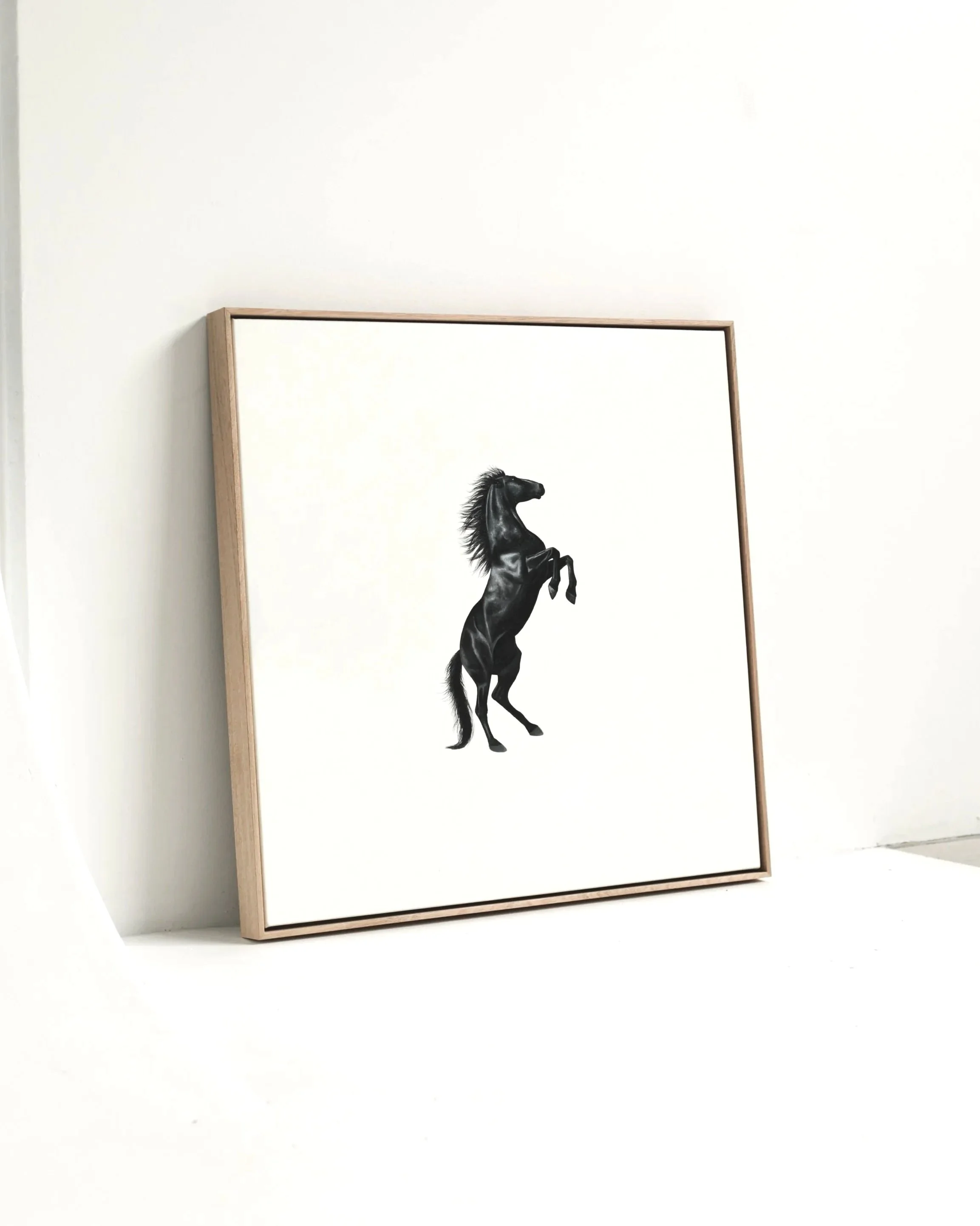 Harry - 2025 - 76 x 76cm