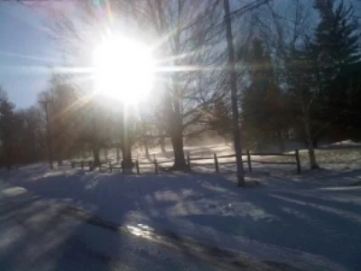 VZ_WisdomHouse_SunshineSnow.jpg