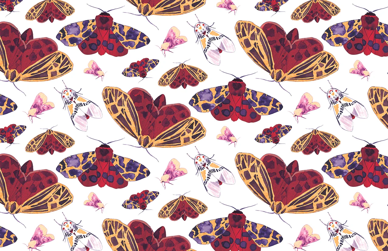 moth_pattern_small.jpg