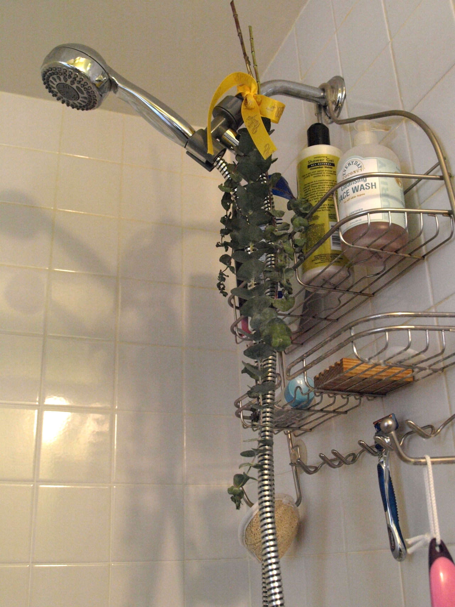A steamy shower + fresh eucalyptus leaves = sweet relief & healthy breathing!