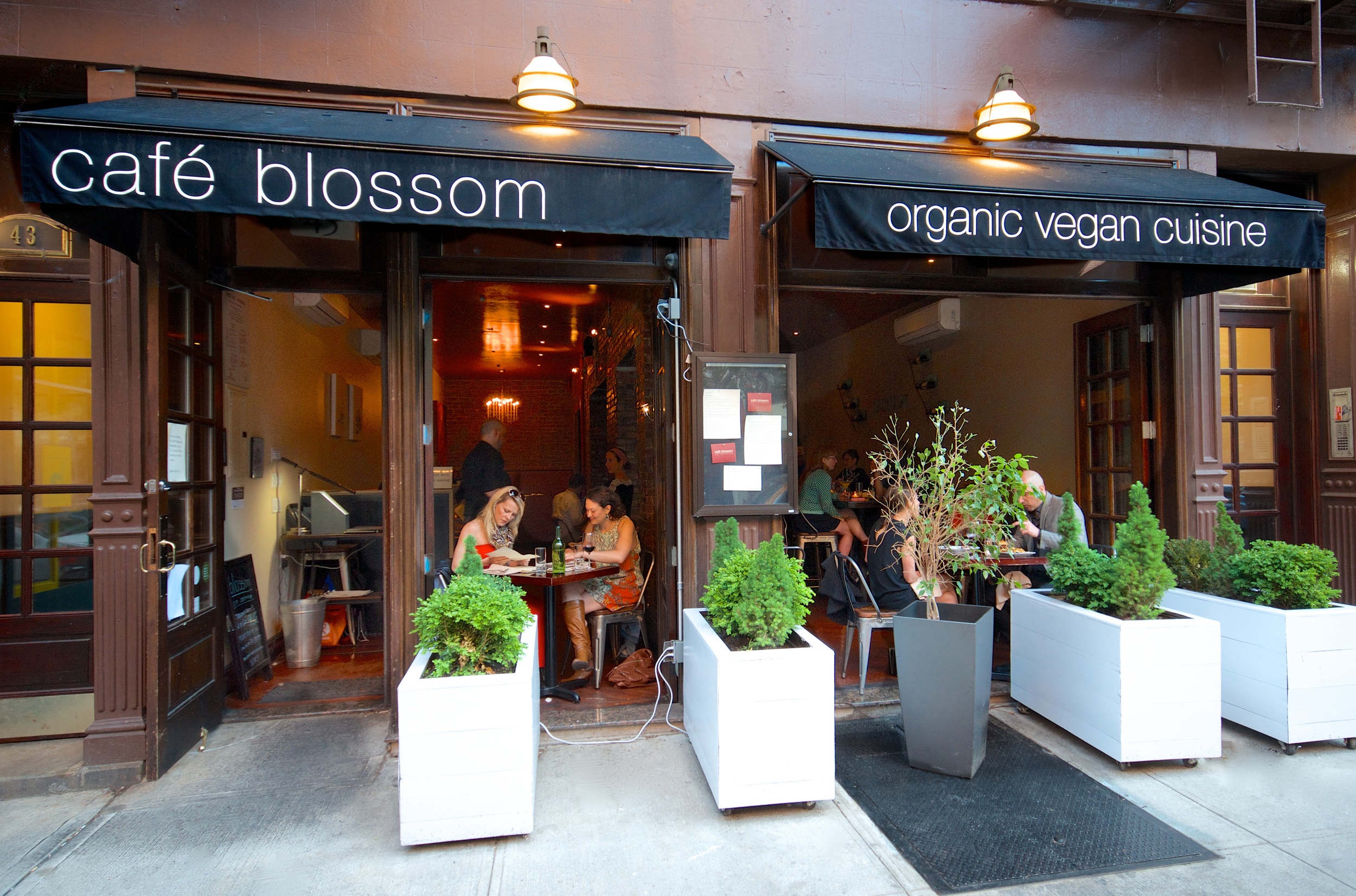 BlossomOnCarmine2014 8.jpg