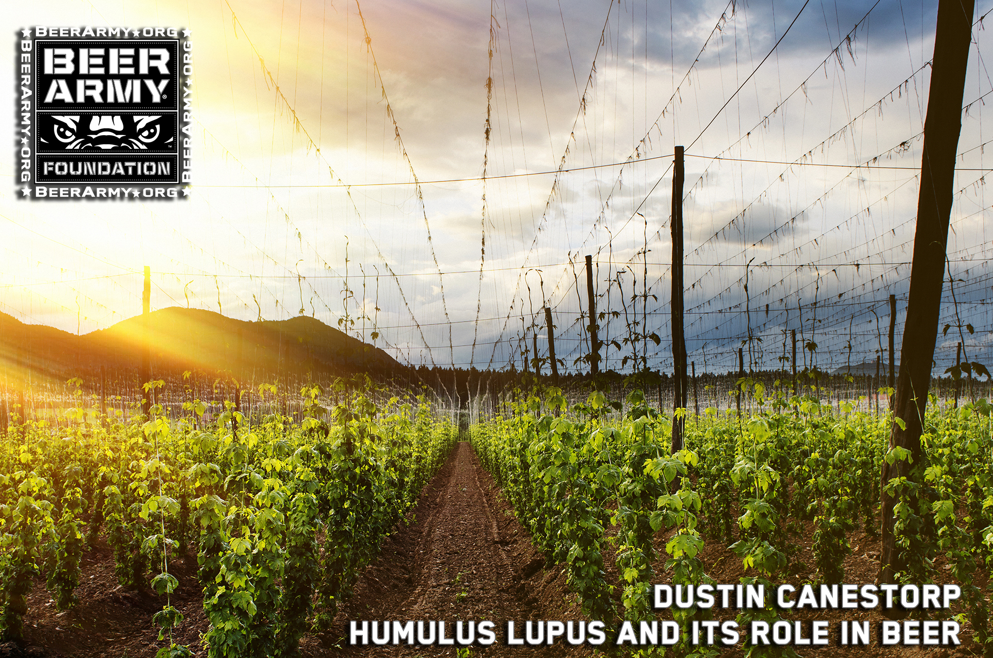 20160901 - Your Guide to Hops.jpeg