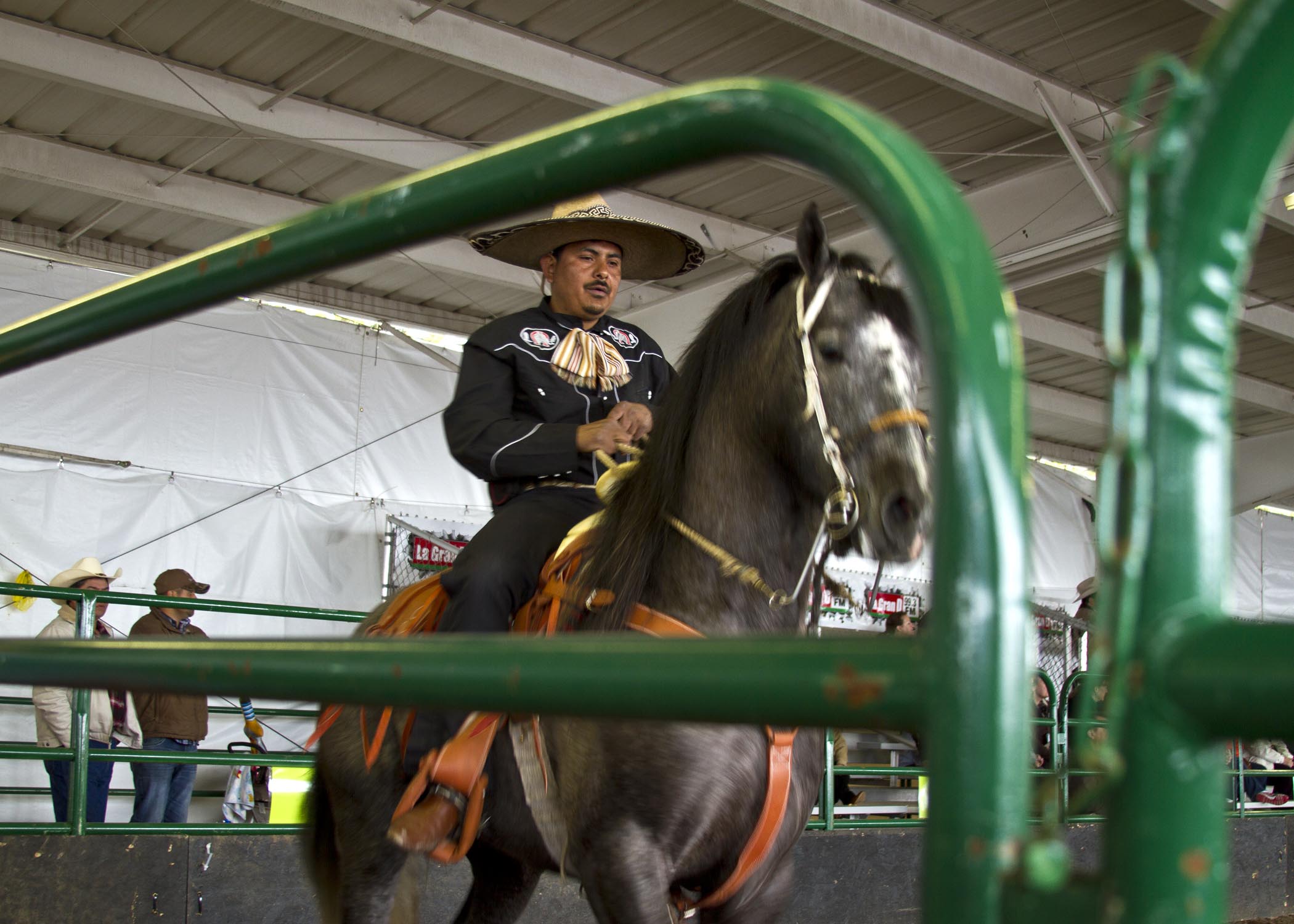A rider completes his introductory lap prior to a trick riding show at the 2013 Puyallup Spring Fair. 