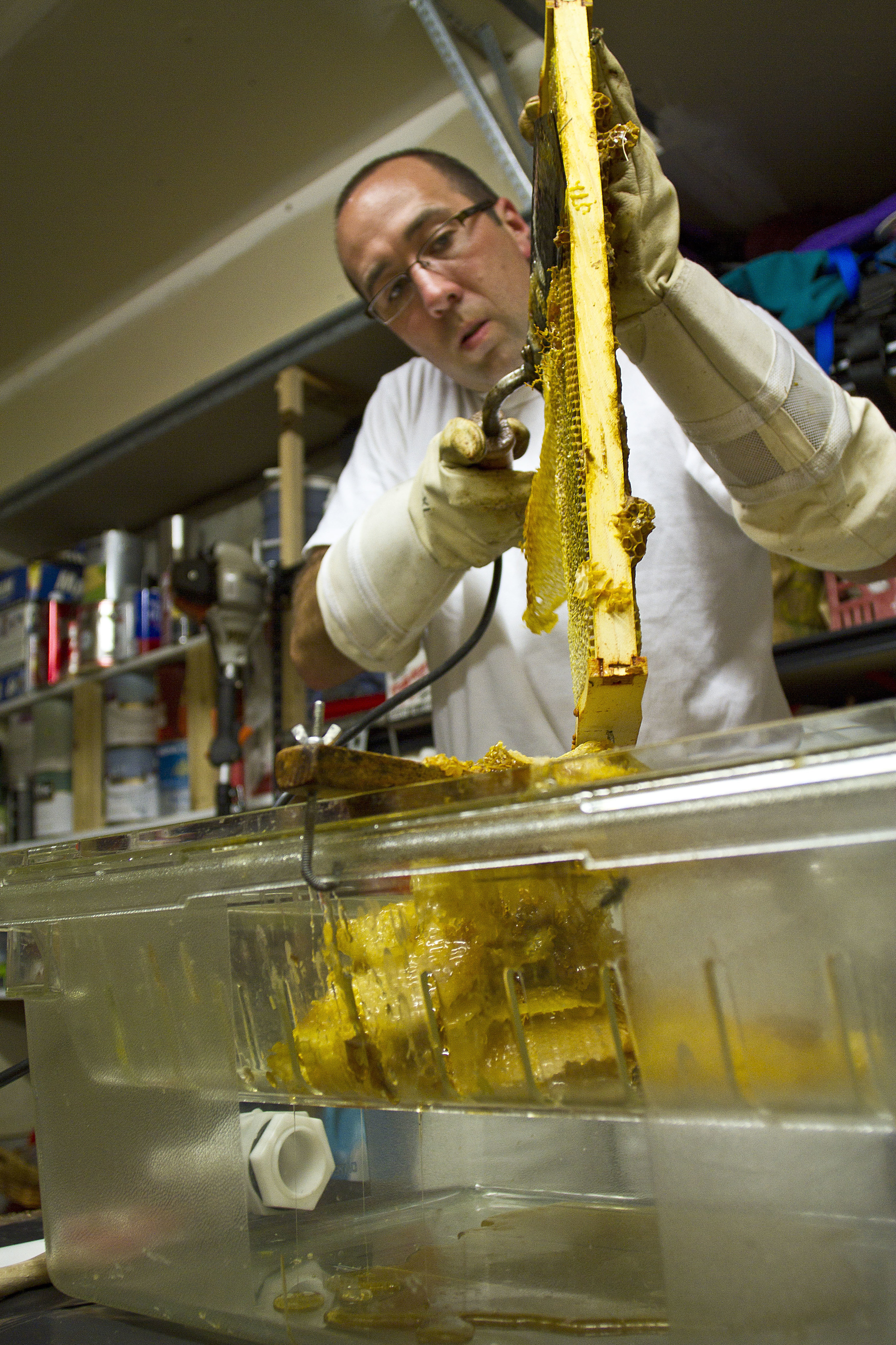   Allen Turnbull, a Bainbridge Island firefighter with two years of beekeeping experience, uncaps a frame of honey comb from one of his hives with a heated knife.&nbsp;  