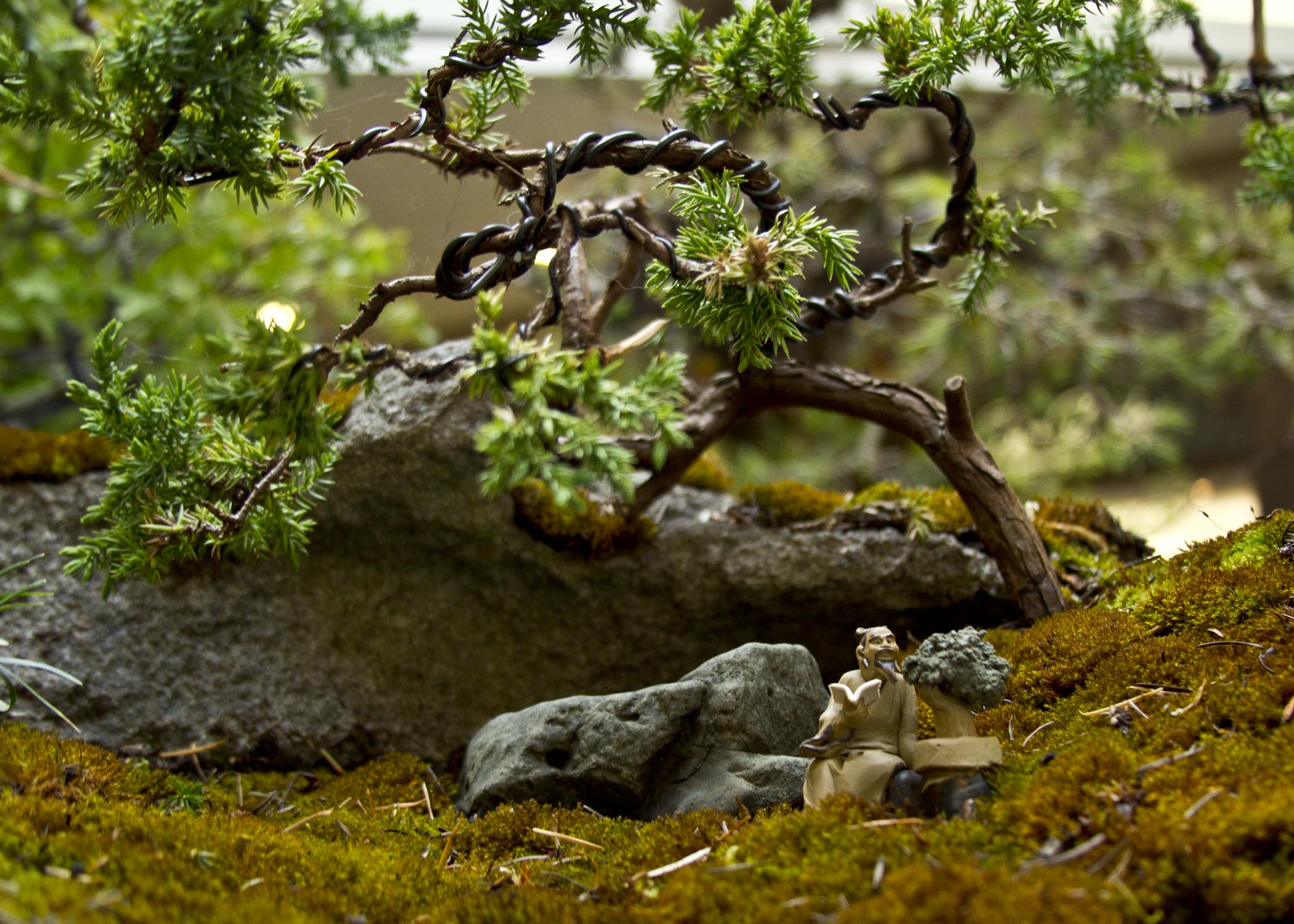  The decorative display at the base of a bonsai tree exhibit, as presented by the Evergreen Bonsai Club during a show at the Kitsap Mall in Silverdale, Washington.&nbsp; 