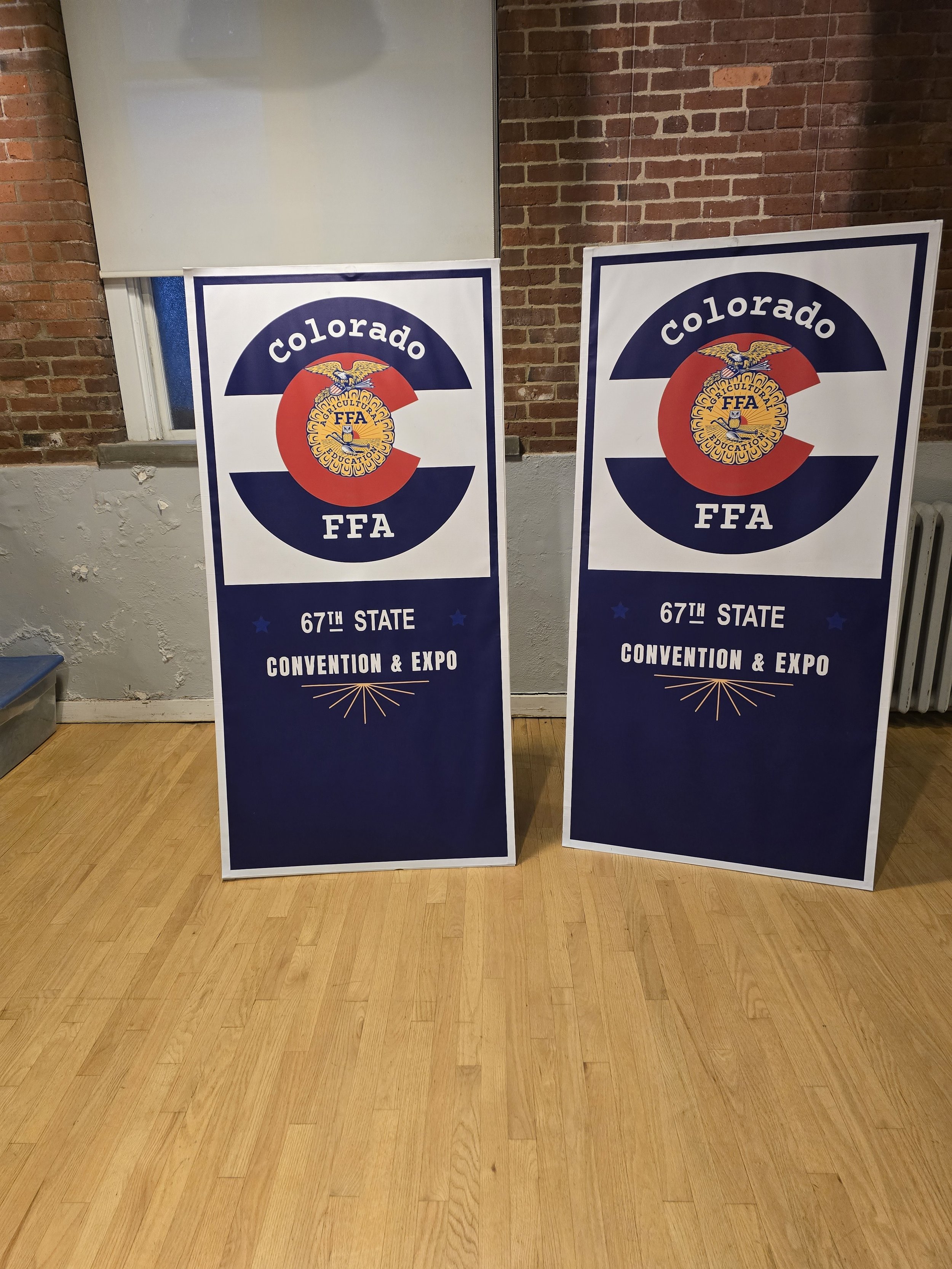 Falcon Girls 2024 (Free Standing Banners)