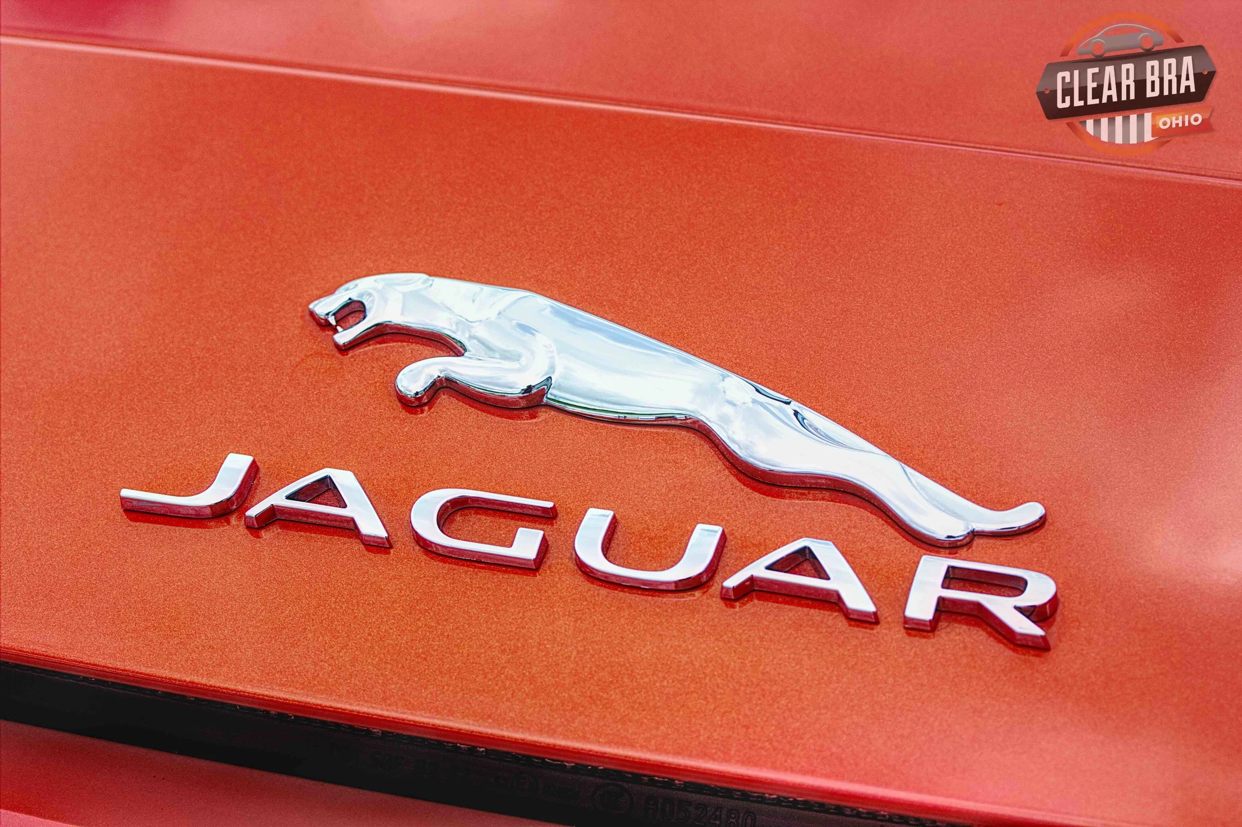 Jaguar.jpg