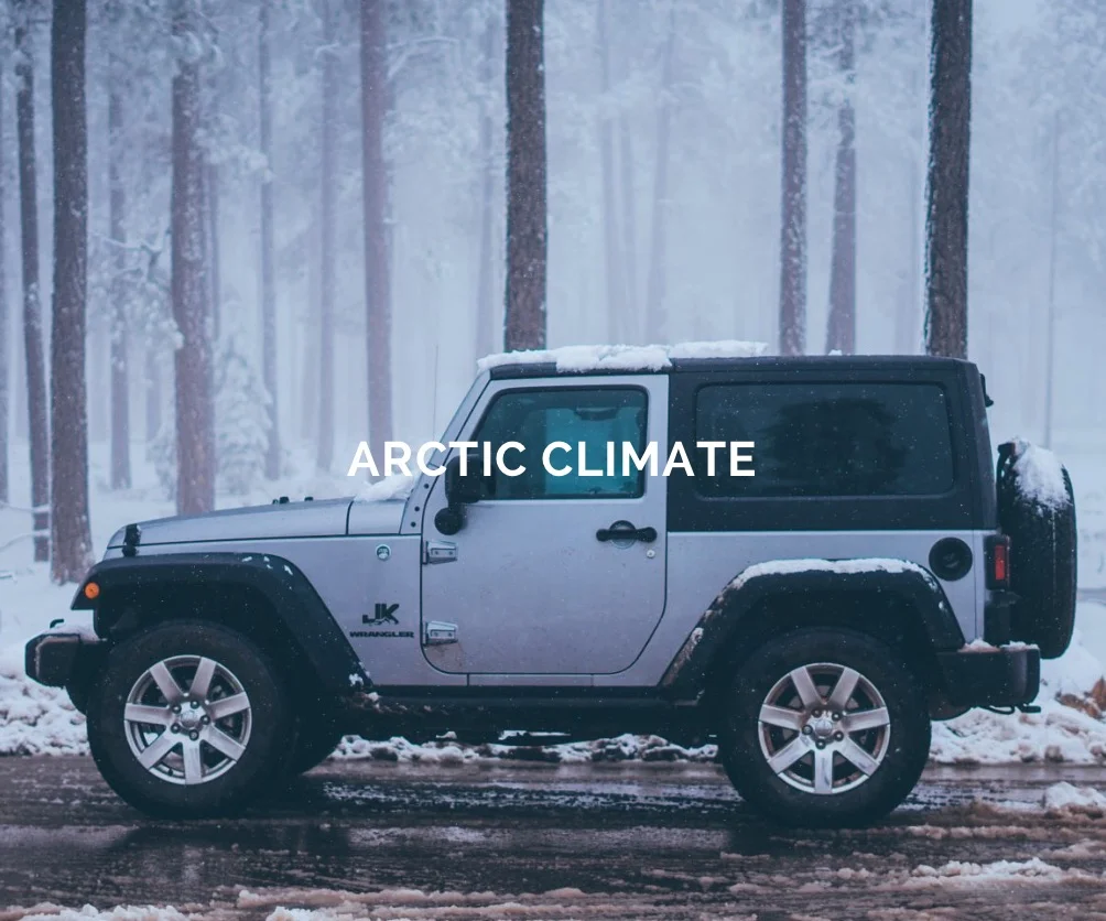 Cold.jpg