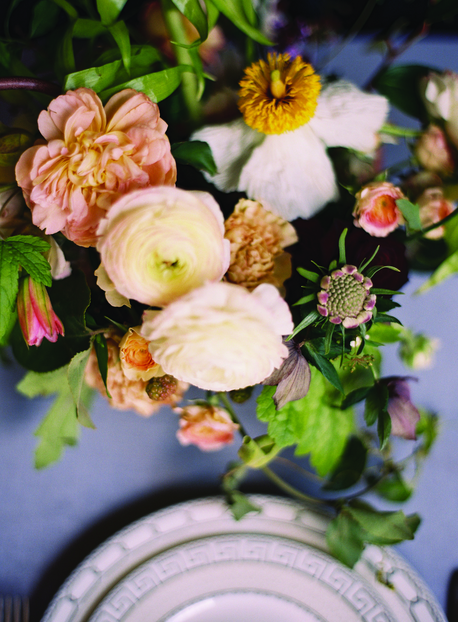 photos by Almond Leaf Studios