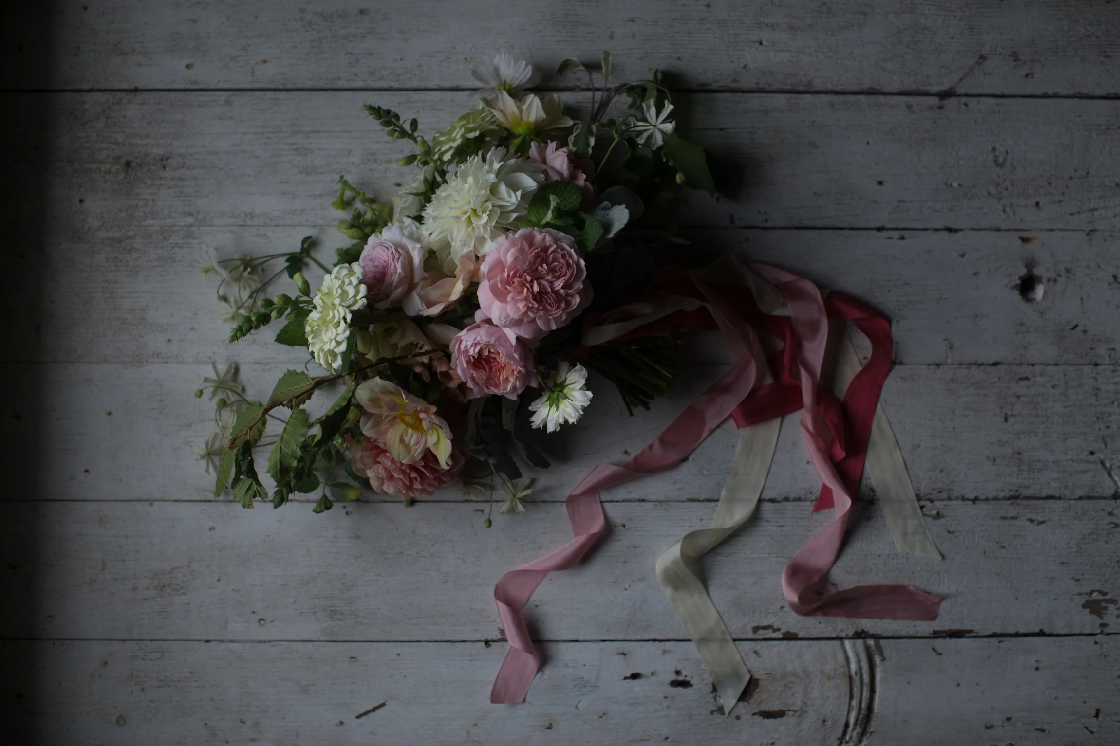  photo by  Chris Benzakein  