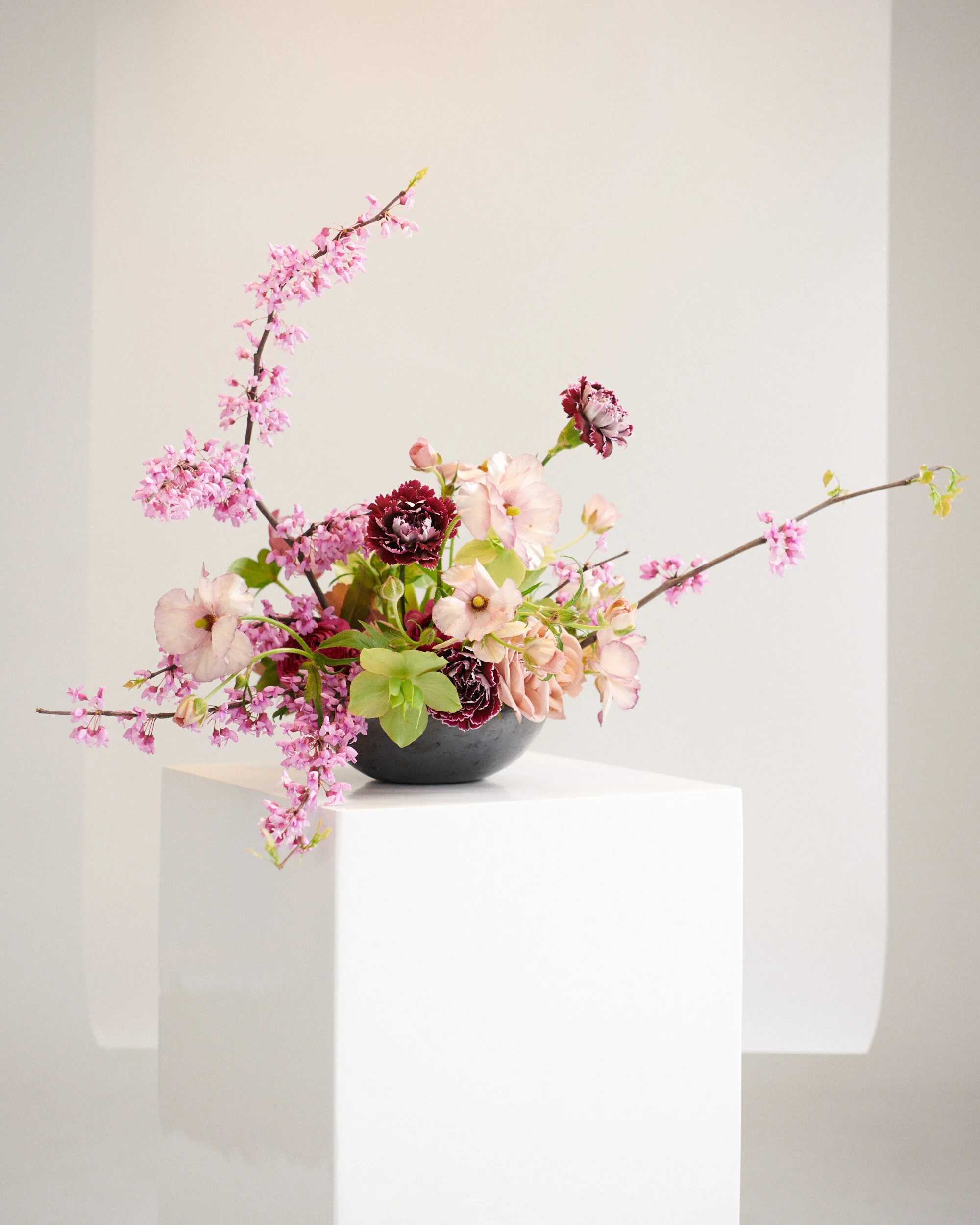  photo by  Egan Parks  