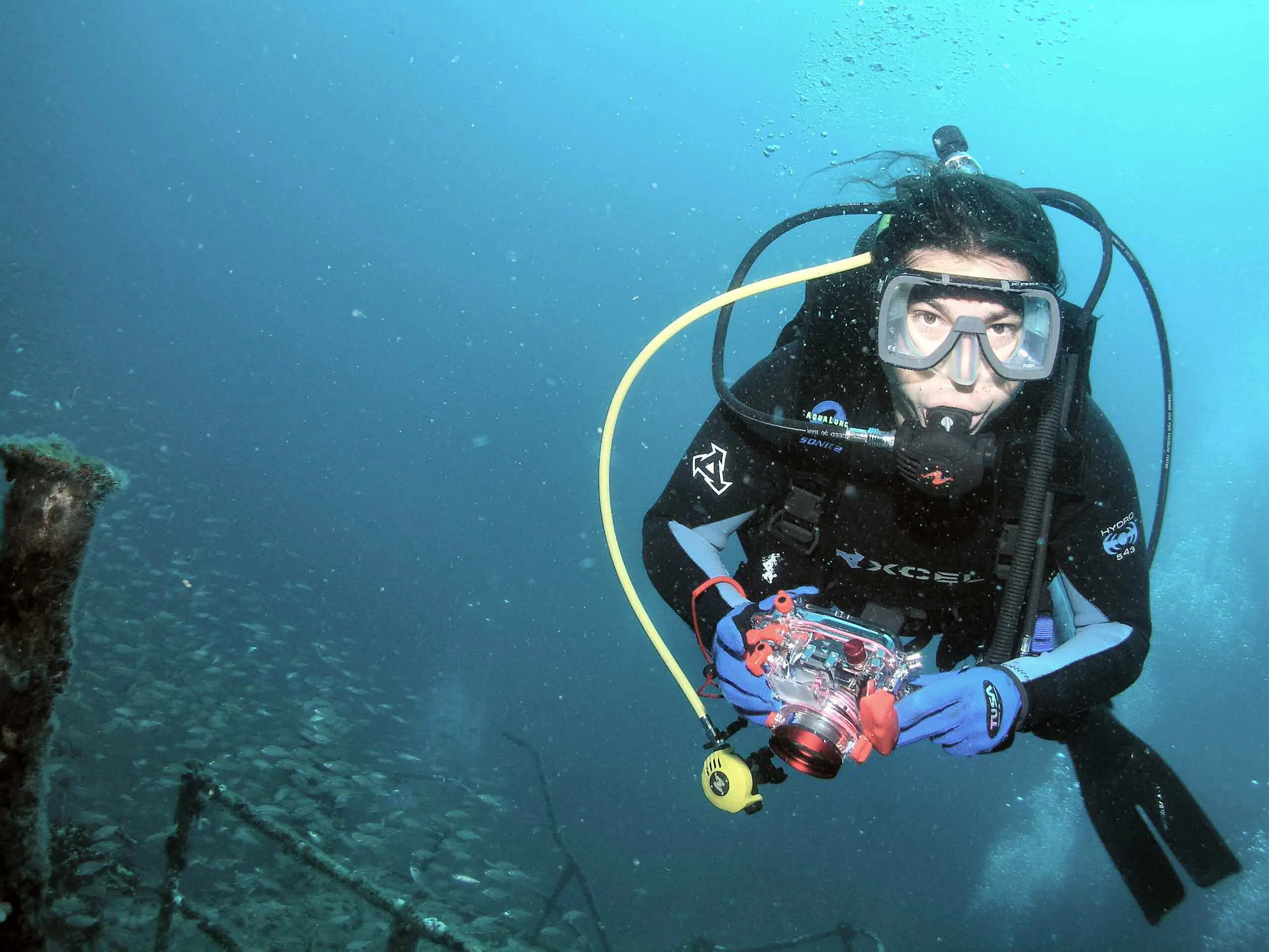 Besides grilling and blending spices, my other passion is to scuba dive. Here I am diving a WWII wreck off Morehead City, NC. German submarines, sand tiger sharks, and lion fish---always plenty to see.