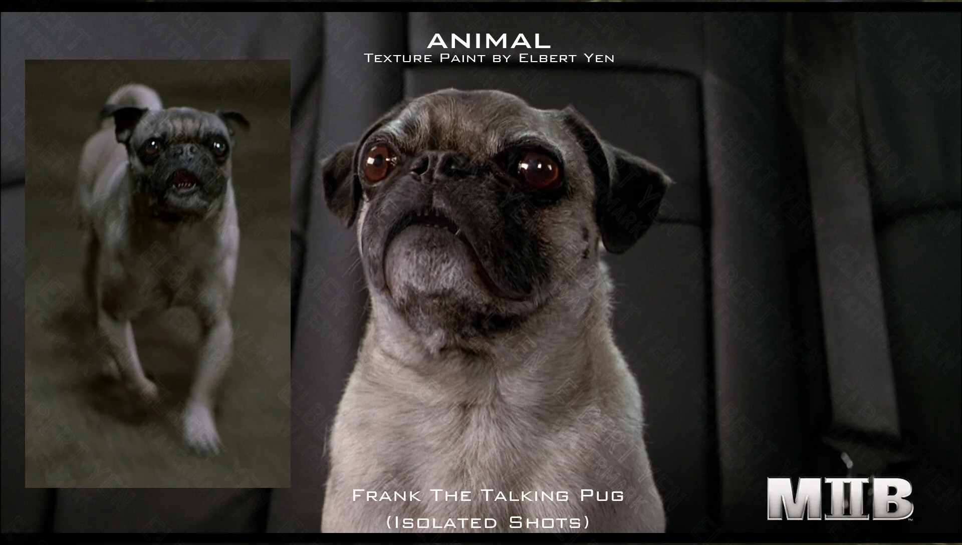 Frank the Talking Pug