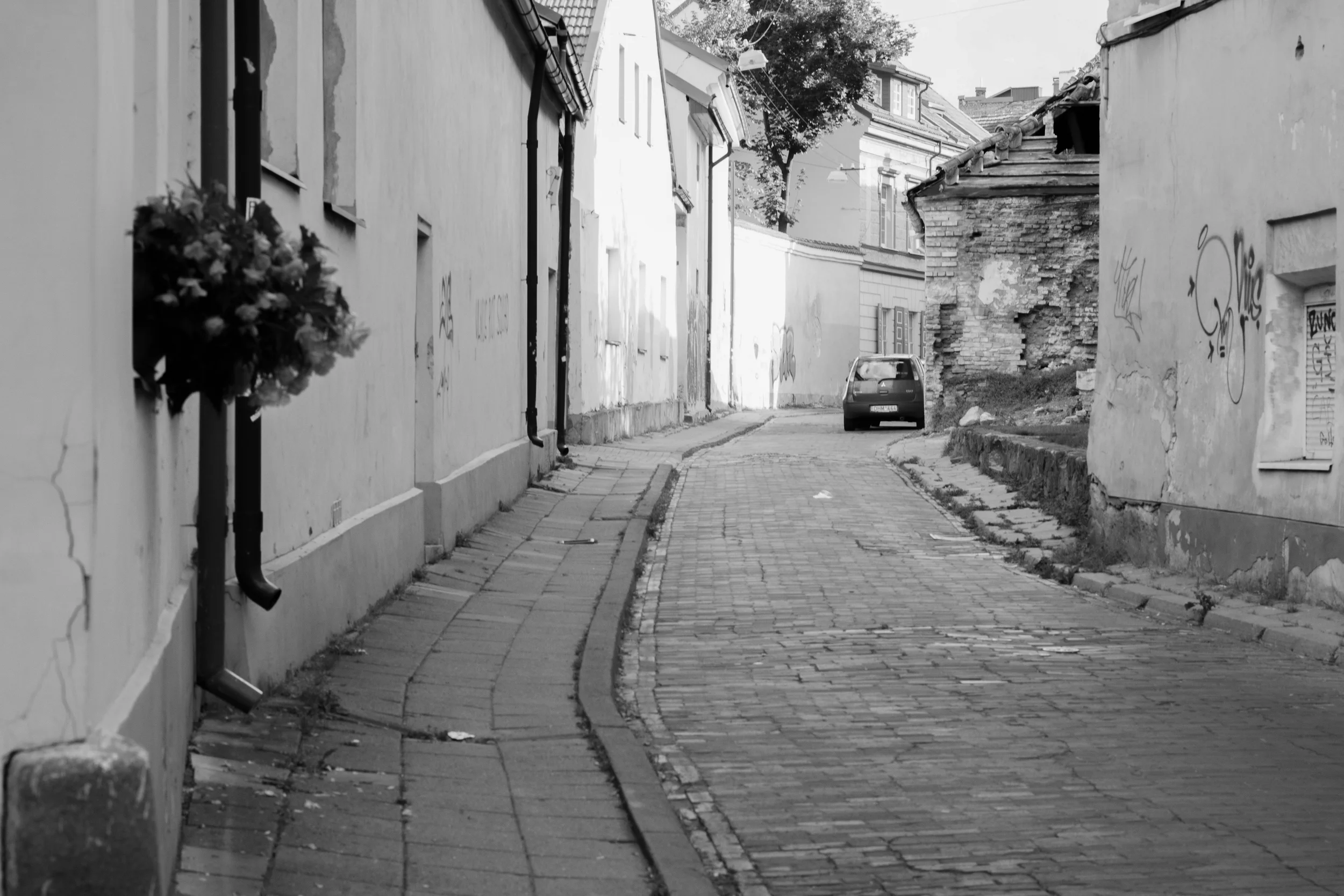 untitled (6 of 17).jpg