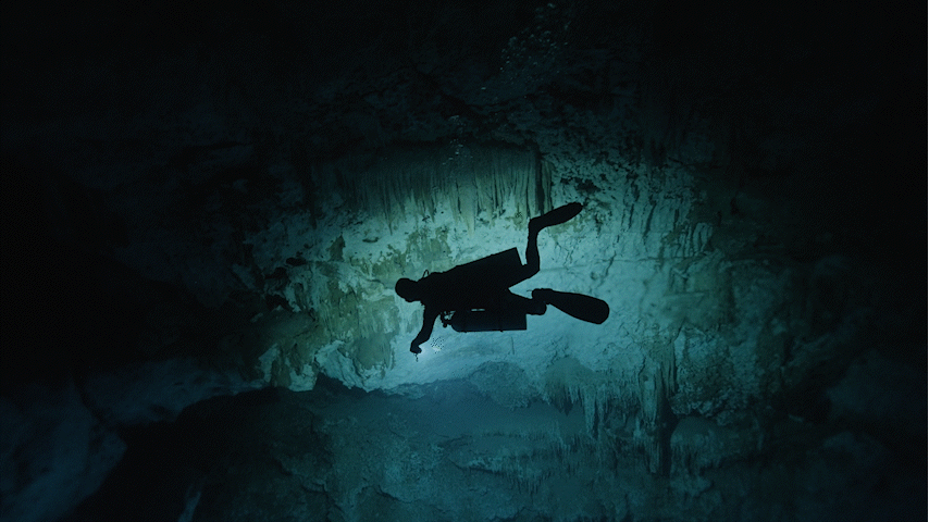 DIVER SILHOEUTTE WEB.gif