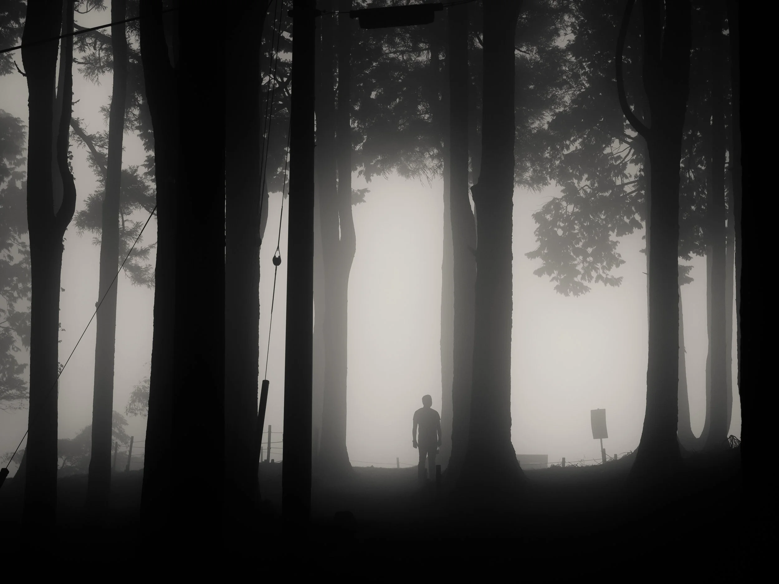 fog over mount minobu, yamanashi (2/2)