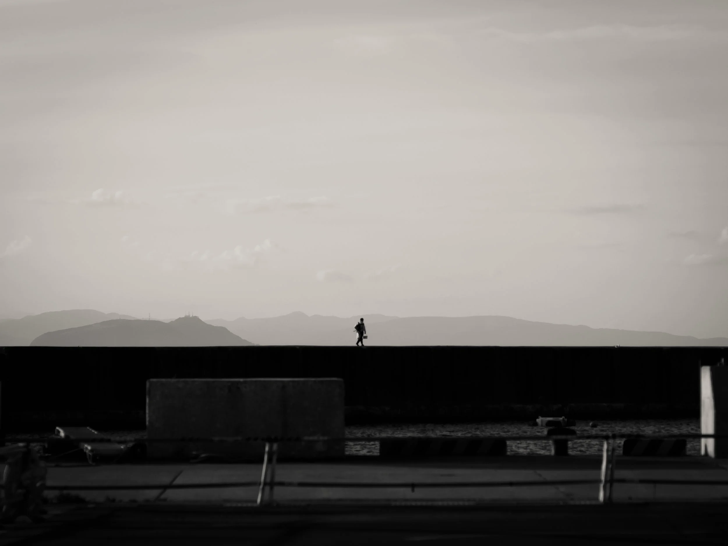 port seawall, oma
