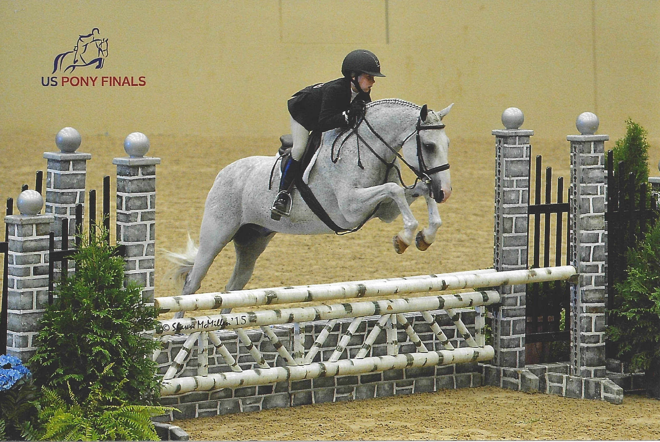 Pony Finals.jpg