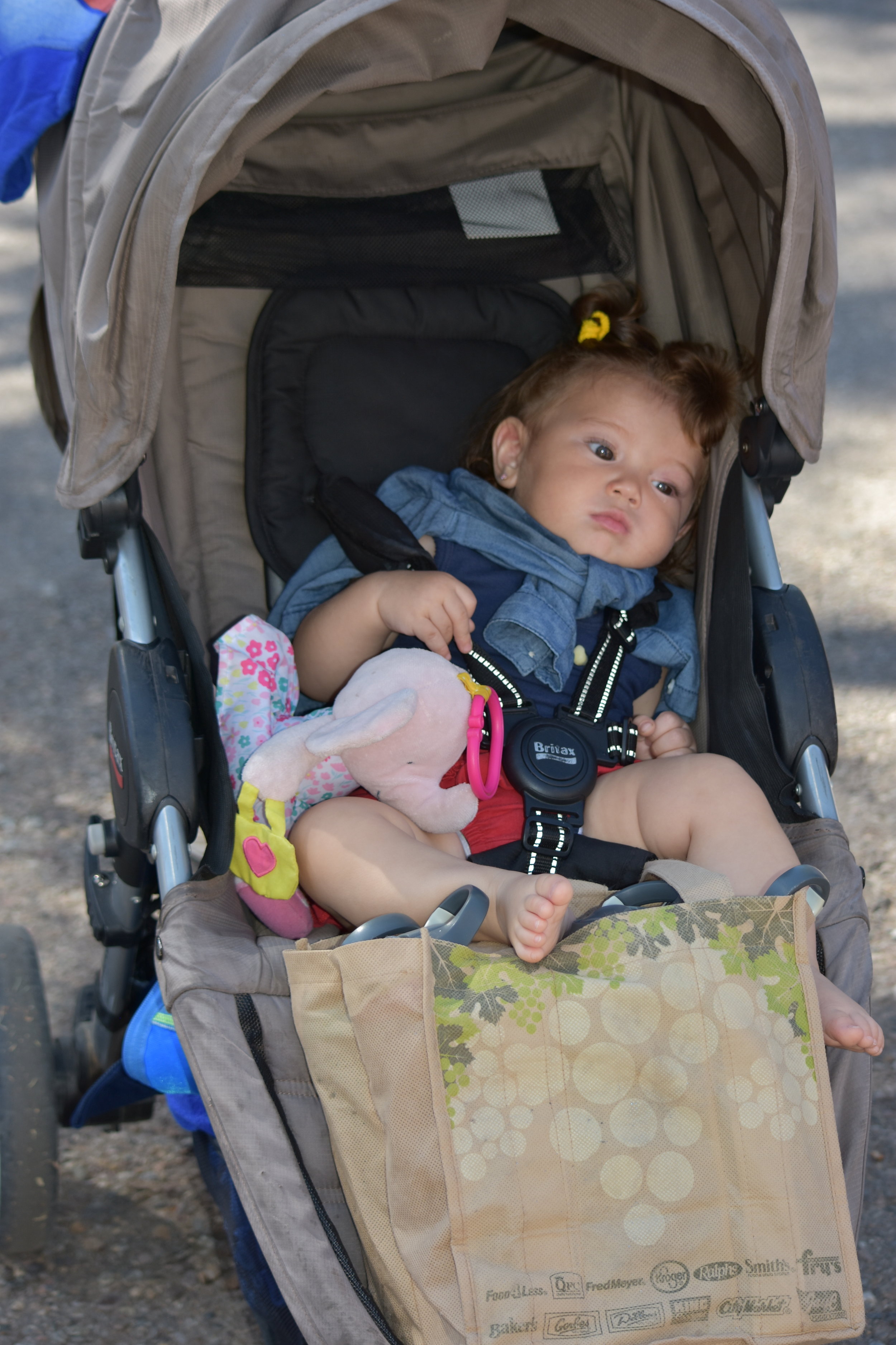 DSC_0784.JPG