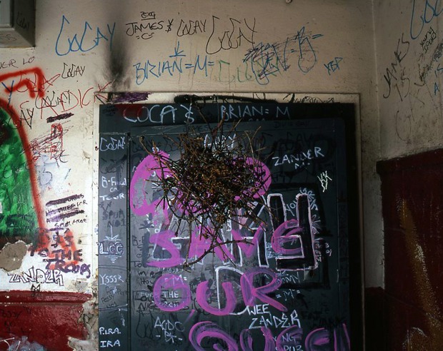‘Wood pigeon nest, 120 Stamford Street’ from the slide installation ‘Animal Architecture’, Mark Neville, 2006