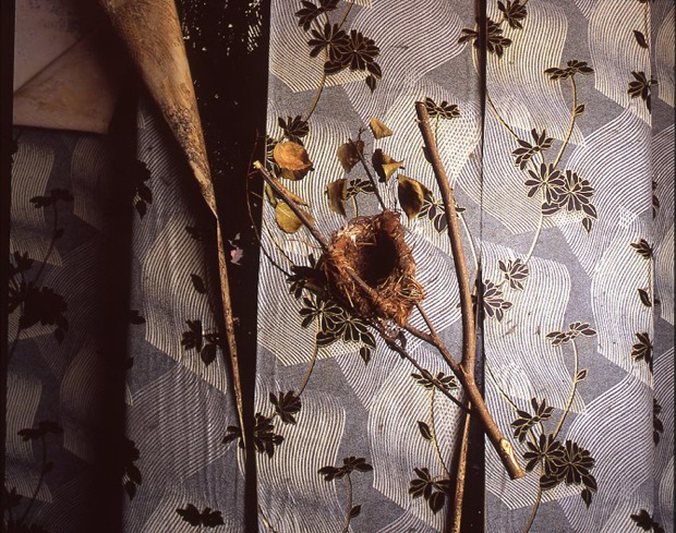 ‘Reed Warbler nest, 141 Stamford Street’ from the slide installation ‘Animal Architecture’, Mark Neville, 2006