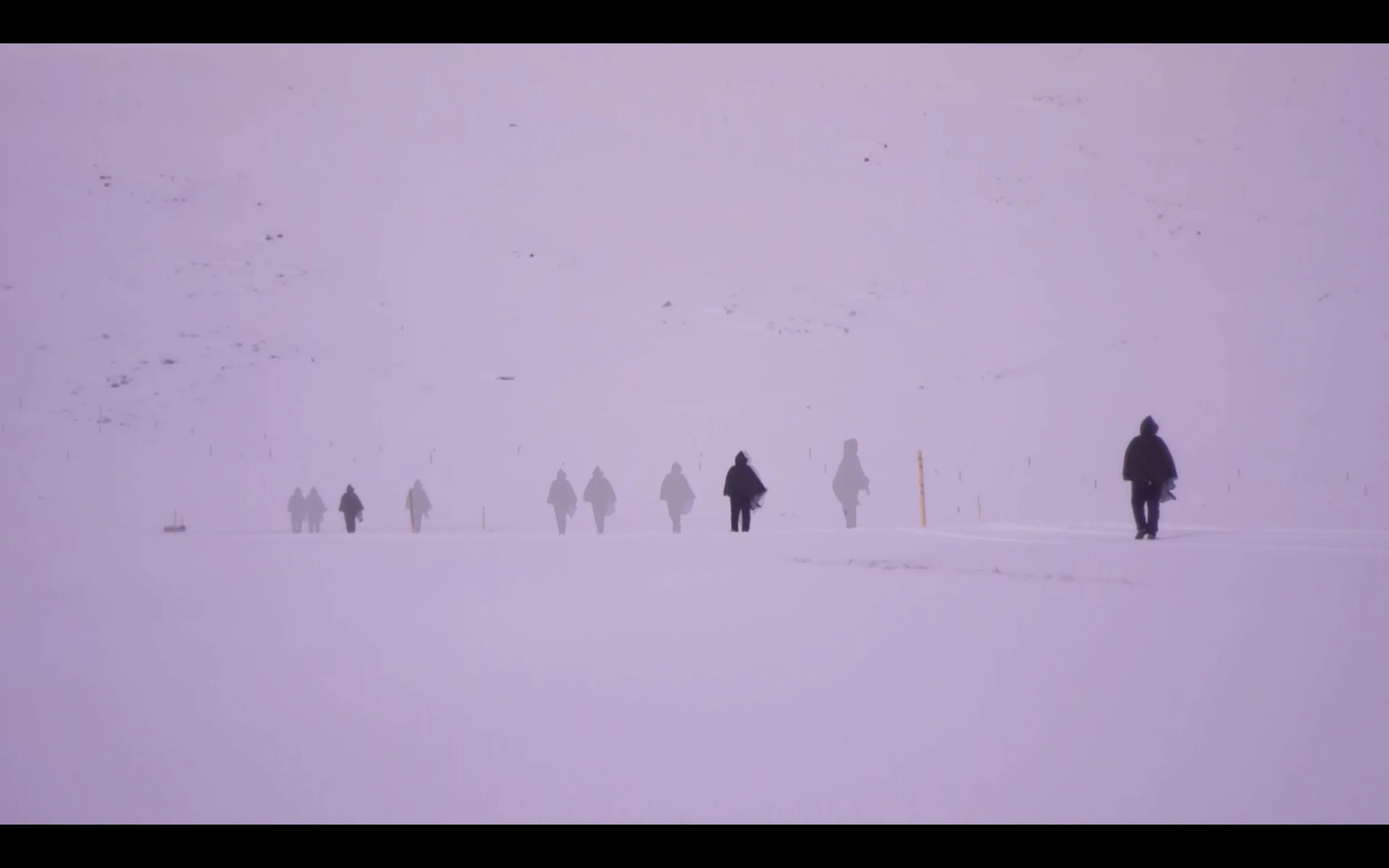 FROM THE NORTH @ Watt Space Gallery, Newcastle, Australia