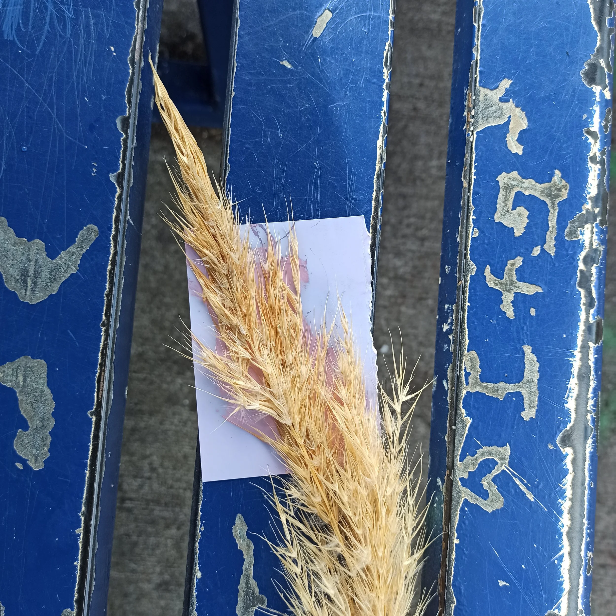 1.interval image.jpg