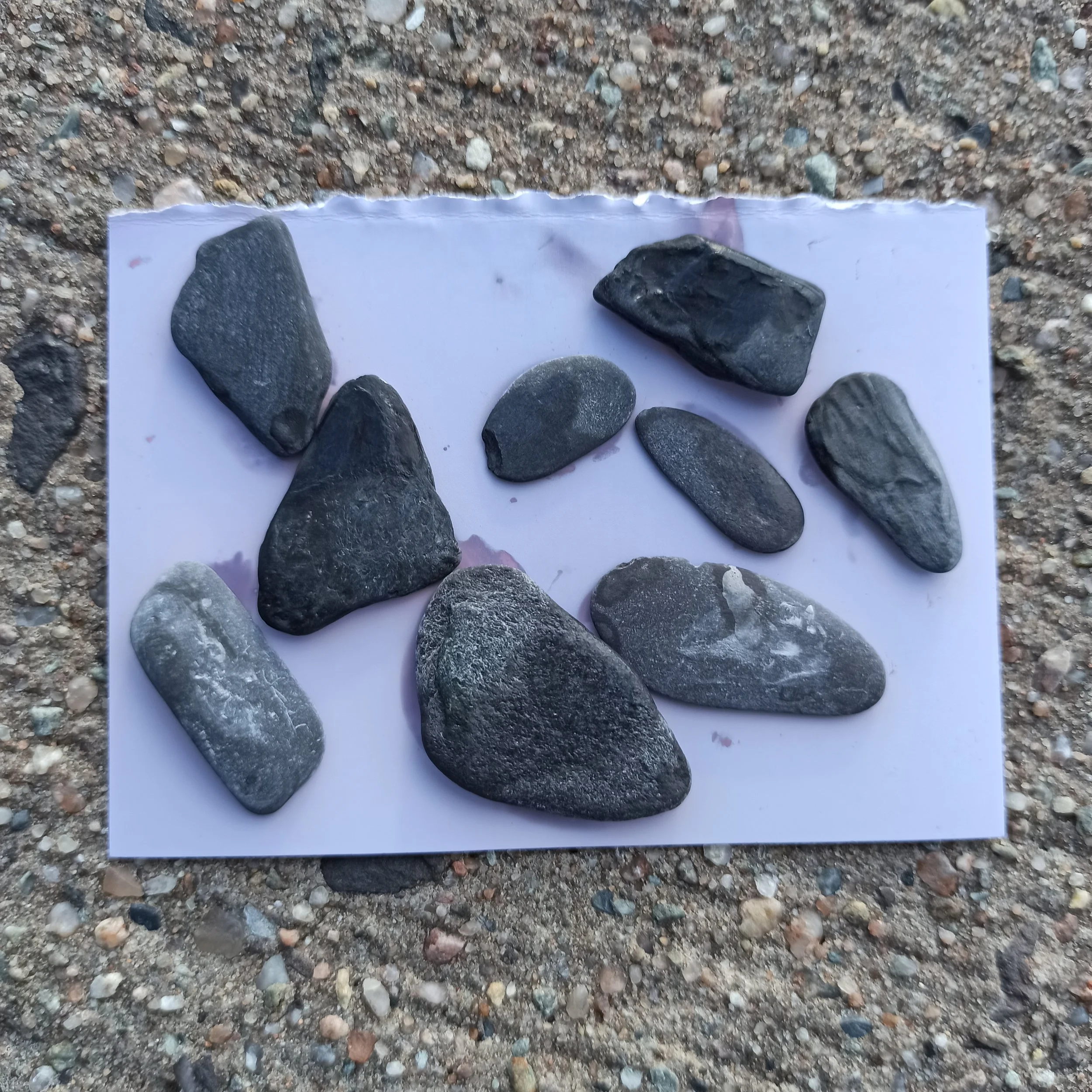 8 shelter stones images.jpg
