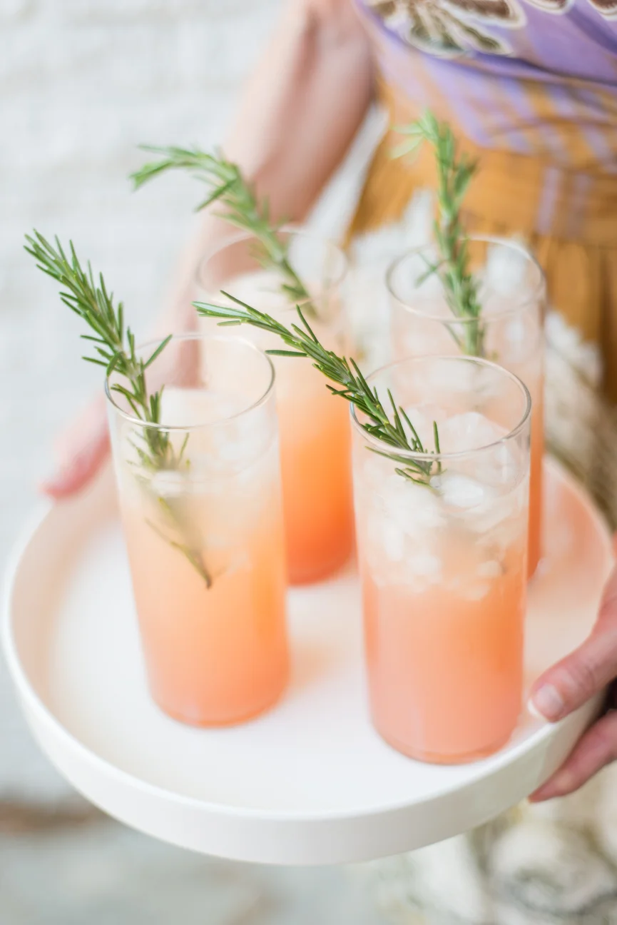 Pink Greyhound | Paprika Southern Studios