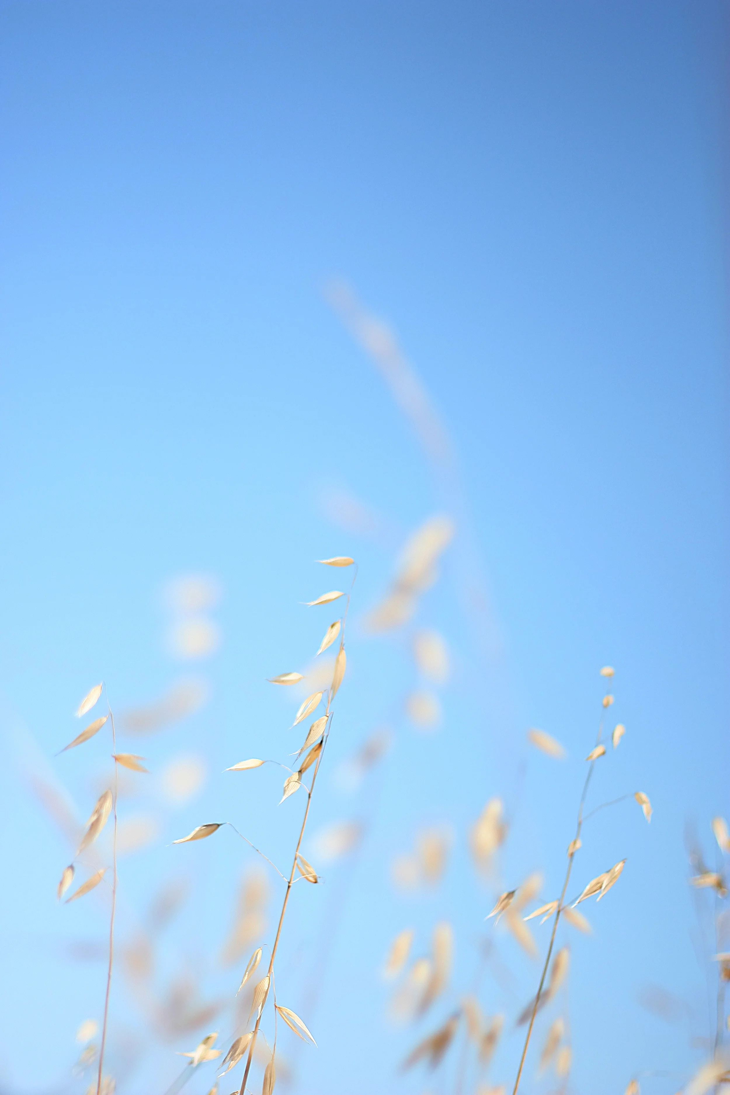 Golden - San Francisco, CA