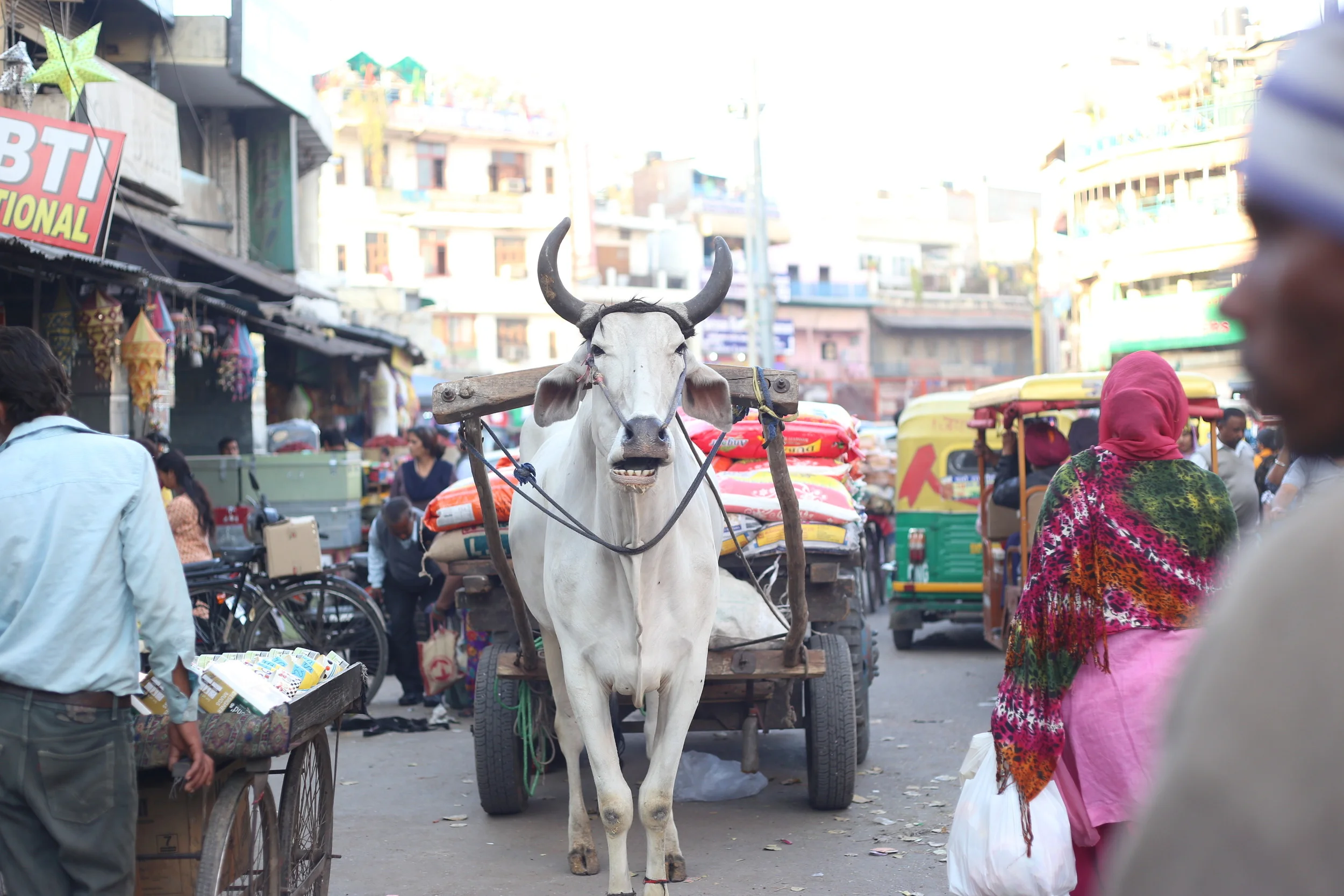 Coming Through - New Delhi, India 